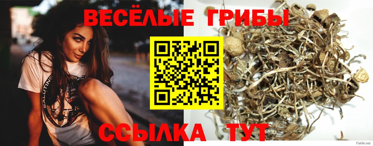 Югорск  Псилоцибиновые грибы MAGIC MUSHROOMS  Псилоцибиновые грибы Cubensis  Вход с VPN 