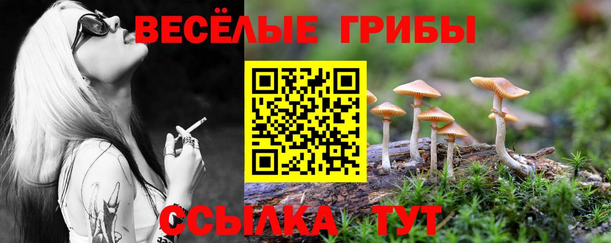 Галлюциногенные грибы Magic Shrooms Югорск